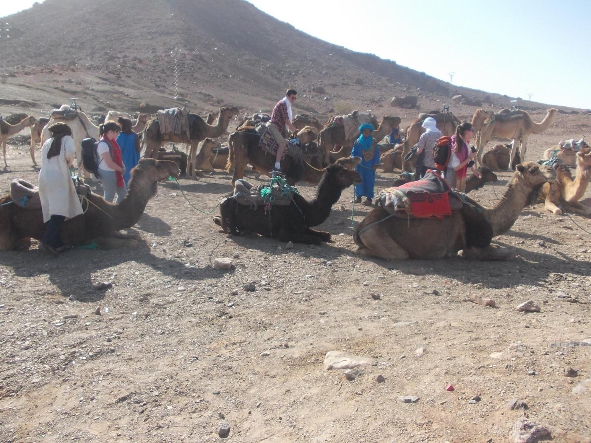 Bivouac Draa Hotel Zagora Luaran gambar